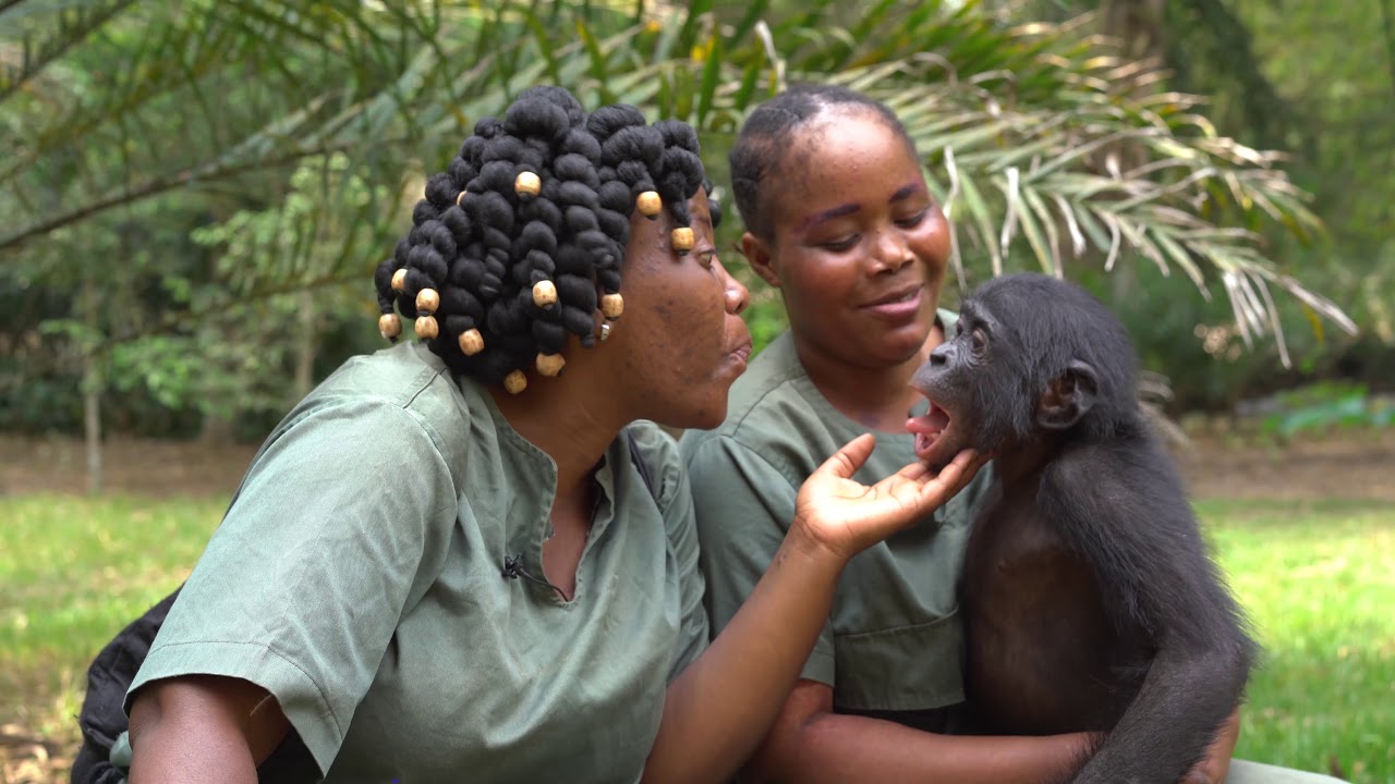 The story of Claudine André - Lola Ya Bonobo