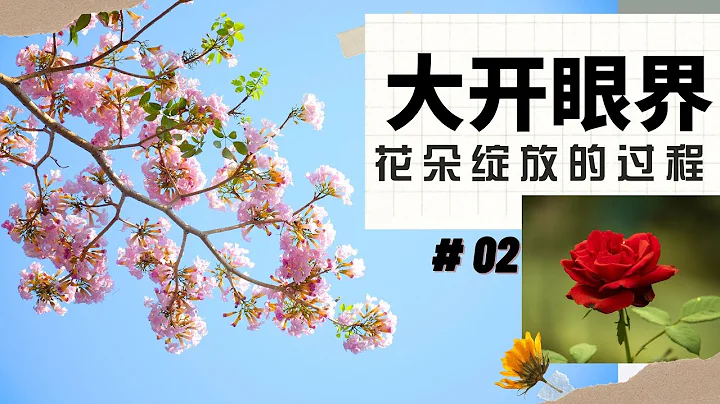 【大開眼界 #02】| 【花朵綻放的過程】| TSLAU - 天天要聞