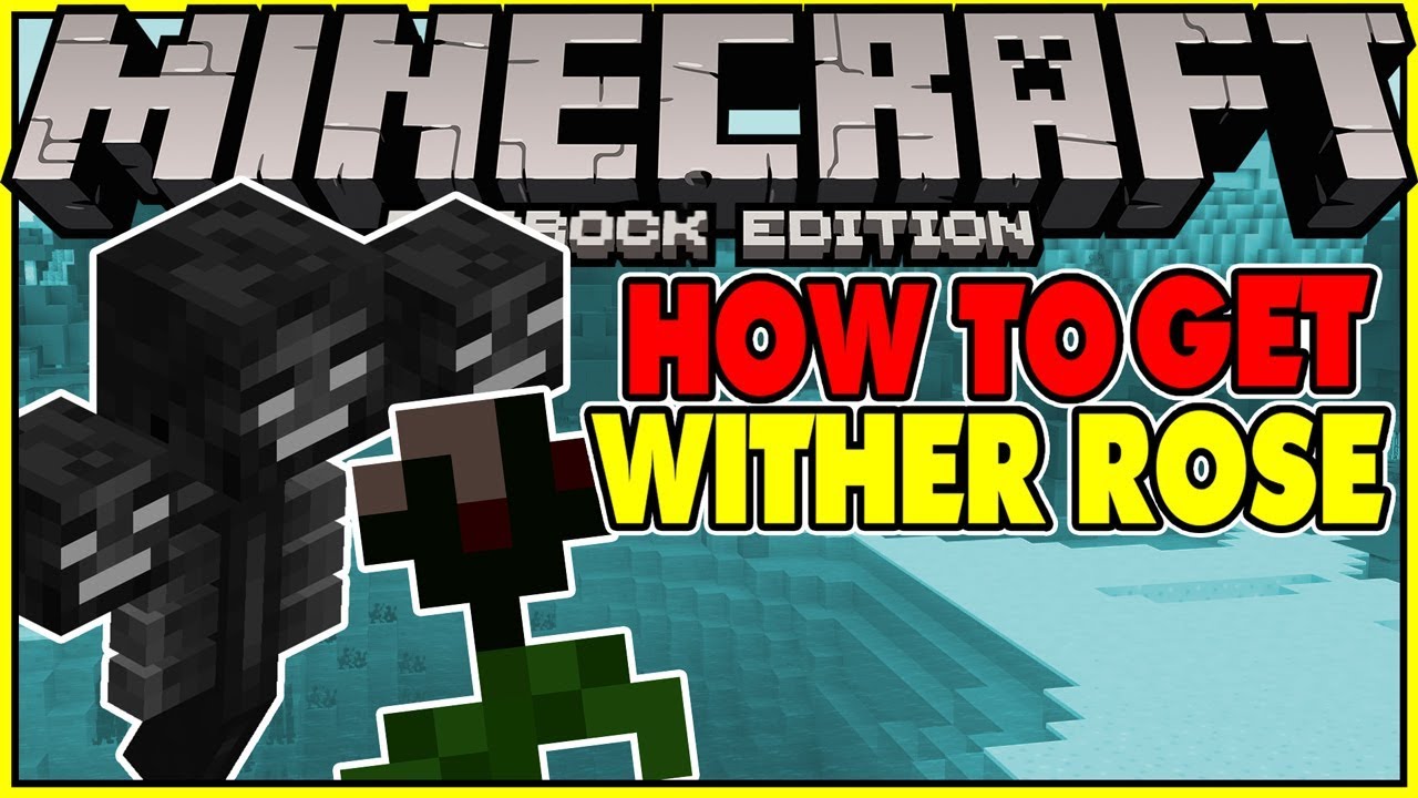 How To Get Wither Rose Minecraft How to Get The Wither Rose in Minecraft Bedrock 1.13.0.9 Beta? - YouTube