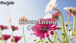 Video thumbnail of "Olivia Rodriguez - Drivers License (lyrics)"