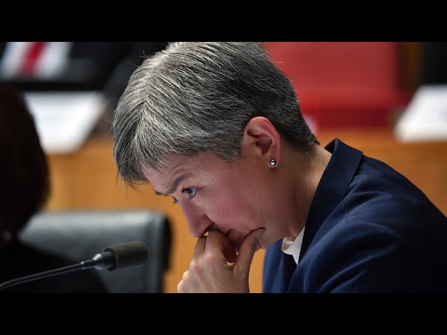 ‘Betrayed us’: Penny Wong ‘willfully blind to evil’ with UN vote for Palestine class=