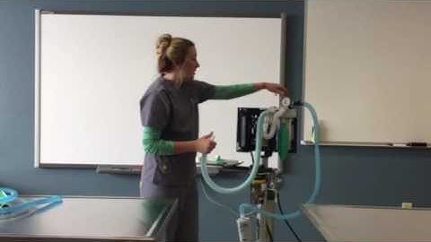 Leak check rebreathing