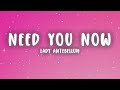 Lady antebellum  need you now lyrics