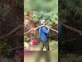 Lakri Vs larki #funnyshorts