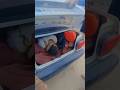 Iran Masafer  Iran Border Crossing #europe #t&uuml;rkiye #iran #illegal