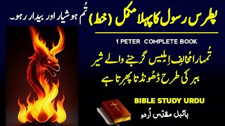 Complete Bible Study on 1 Peter | Deep Dive into God's Word | Urdu Bible Study | complete book