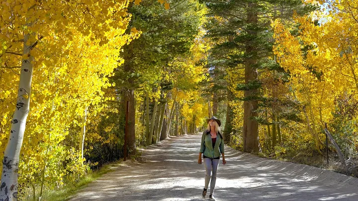 I'VE FALLen IN LOVE | Solo female Living in a Trav...