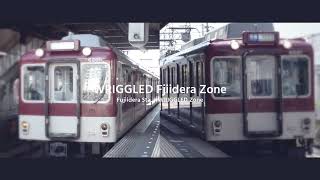 WRIGGLED FUJIIDERA ZONE