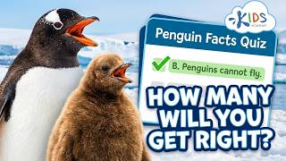 penguin facts quiz children how many will you get right