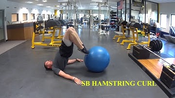 SB Hamstring Curl