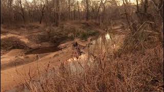 Polecat creek Heyburn WMA