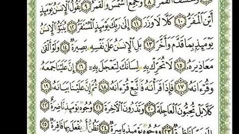 075   سورة القيامة   شيرزاد عبد الرحمن طاهر