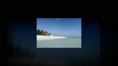 MindClone Technologies Port Saint Lucie SEO Computer REPAIR