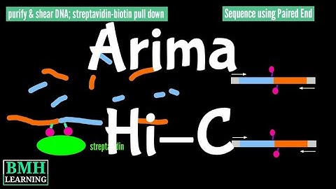 Arima Hi-C | Hi-C Method | Conformation Capture |