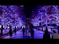 【4K】Japan Christmas Lights 2021 - Yokohama Minatomirai