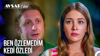 Eski Sevgiliyi Geri Döndürme Ritüeli 😅 Kedi Özledi