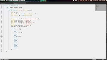 POO 4 - Ejemplo práctico, Pase de parámetros (1). - Java.