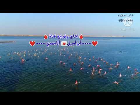 الفنان شادي نرجوس يادنيا حني شوي قولي خطي اجمل ماغنئ حزين مع اجمل تطبيق