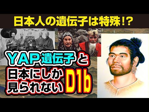 日本人の遺伝子は縄文人から！？YAP遺伝子と日本にしか見られないD1b遺伝子