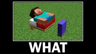 WAIT WHAT - Minecraft #11