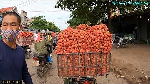 Cận Cảnh Tắc Đường Kinh Điển Bán Vải Thiều Lục Ngạn Tại Ngã Ba Đồng Cốc 5/6/2021 I Luc Ngan Litchi