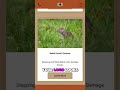 Sandstorm Pest Control Full SEO Audit #shorts