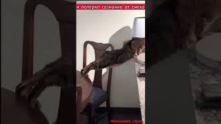 я потерял сознание от смеха