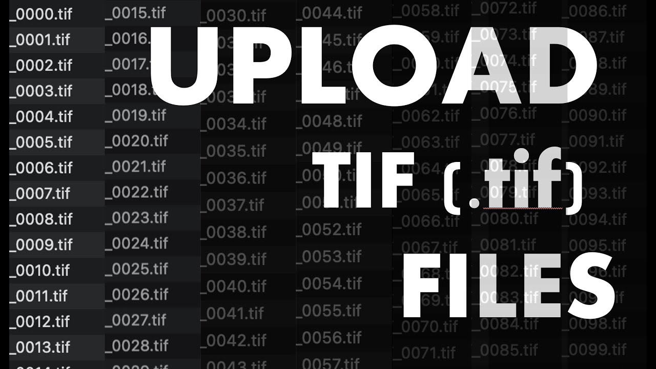HOW TO Upload TIF (.tif) Files [3D Slicer Workflow] YouTube