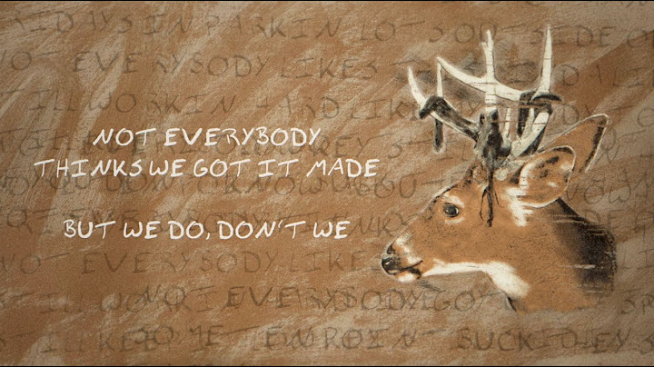 Morgan Wallen - Don't We (Lyric Video)