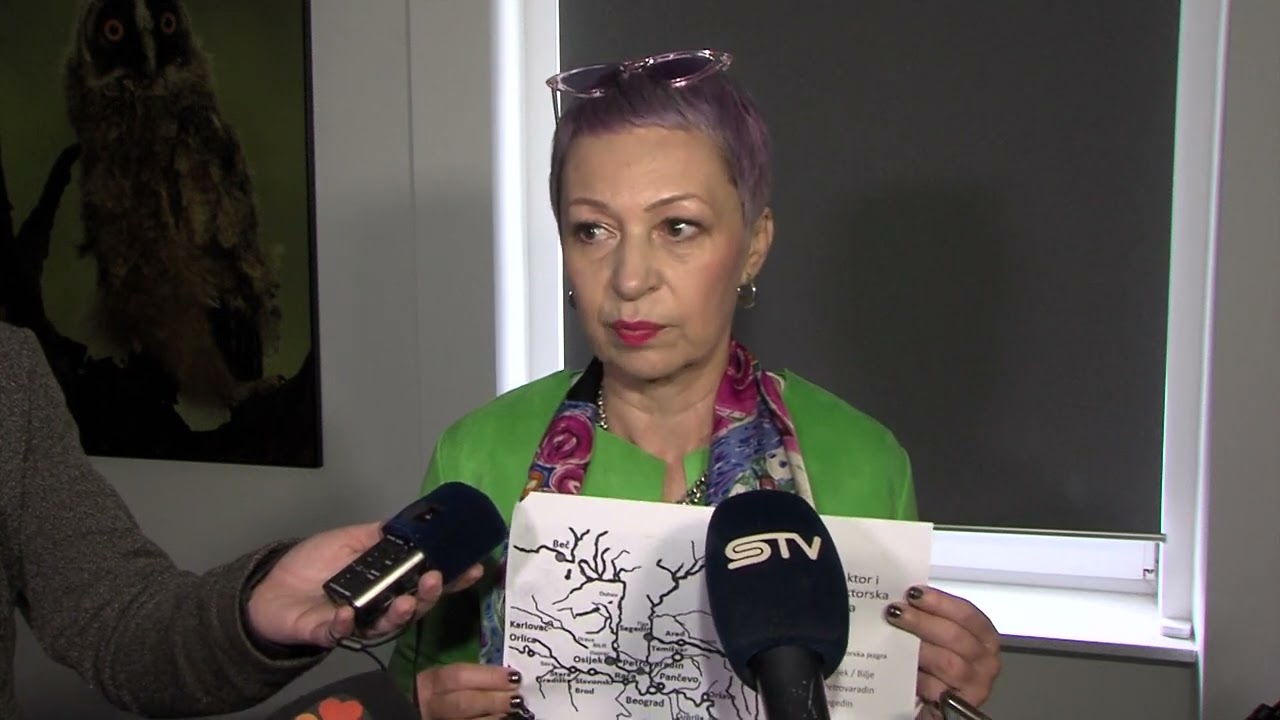 Predstavljena Interpretacijska studija obnove Dvorca Eugena Savojskog u Bilju