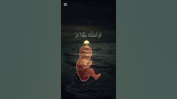 سورة المؤمنون ياسر الدوسري #ياسر_الدوسري #قران_كريم