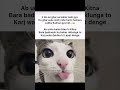 2 din #funny #tweetreels #funnymemes