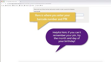 How to Access an NYPL Database