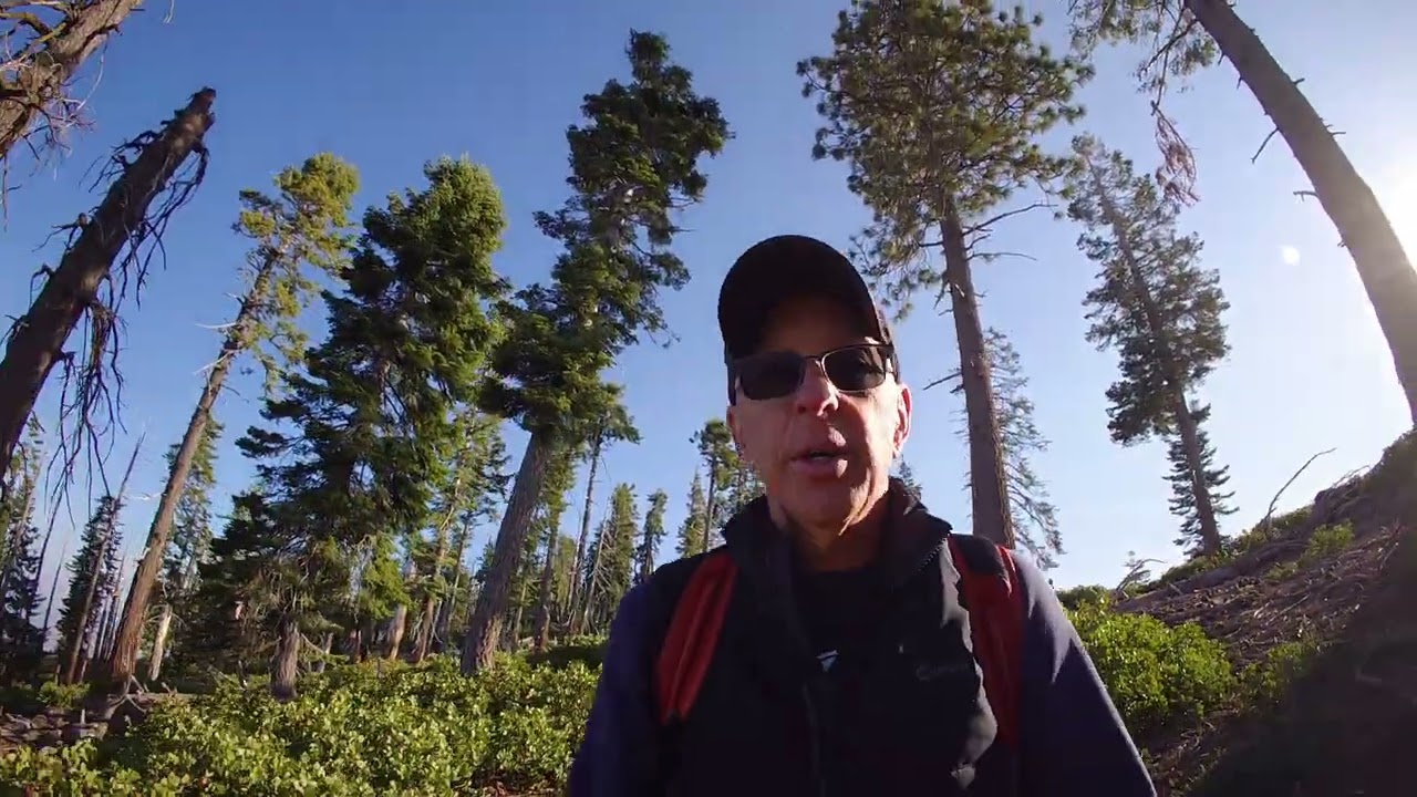 Sunday Morning in Kings Canyon NP