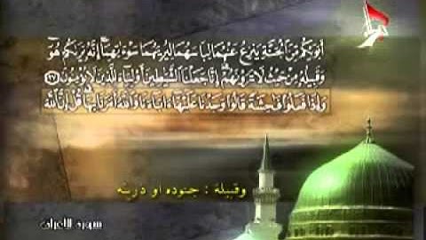 القرآن الكريم الجزء - 8 - الحاج رافع العامري