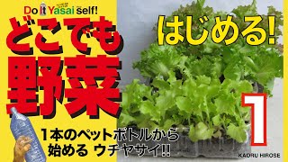 #どこでも野菜  ペットボトルでおうち野菜  #EverywhereVEGETABLES