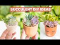 9 Succulent DIY Ideas 🪴|  多肉植物 | 다육이들 | Suculentas