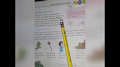 CLASS 3 UNIT 5 PART 2