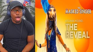 The Masked Singer Season 11 AFGHAN HOUND Clues Performances & UnMasking! REACTION