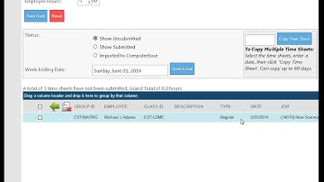 FieldEase iSeries: How to Enter Time