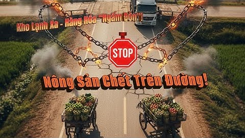 Chuỗi Lạnh Việt Nam: Những "Mảnh Ghép Rời Rạc" và Cung Đường Nóng 200km giết chết Nông Sản Việt