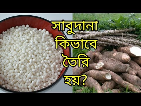 ভিডিও: স্ট্রটগুলি কি আবার তৈরি করা যায়?