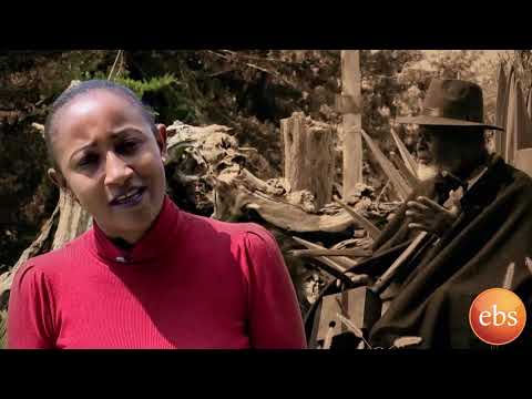አርአያ ሠብ የነጋድራስ ተሰማ እሸቴ ዘጋቢ ፊልም Who Is Who Negaderas Tesema Eshete Documentery