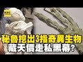 外星人遺骸？秘魯挖出「3根手指、頭顱扁長」奇異生物！ 藏天價走私黑幕！？【57新聞王】    @57newsking