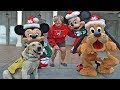 Guide Dog Can’t Contain His Excitement When He Meets Pluto Guide Dog Can’t Contain His Excitement When He Meets Pluto