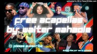 Acapella - Shebeshxt - No Wahala ft Naqua