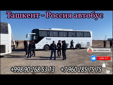 Ташкент Красноярск автобус 2023 #ташкент #красноярск #автобус