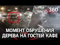 Видео: огромный сук обрушился на гостей в кафе на открытом воздухе в Украние