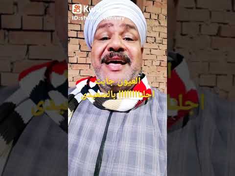 العيون جابت اجلنا بالصعيدى Shorts