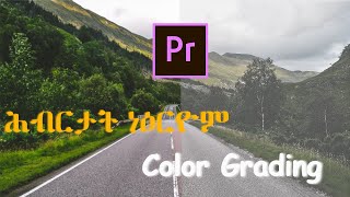 ሕብሪ Videoና ብቀሊል መገዲ ነዕርዮ I Color Grading Presets I Part 9